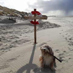 Fischerbalje - Bild 13