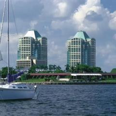 The Ritz-Carlton Coconut Grove, Miami thumbnail 22