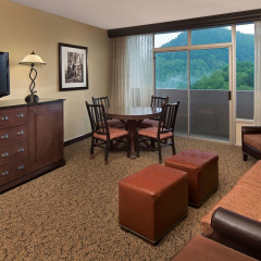 The Park Vista - a DoubleTree by Hilton Hotel - Gatlinburg thumbnail 3