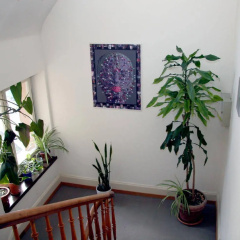 Saint Georges Hotel - Bild 16