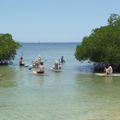 Mangrove Paradise Retreat - Bild 26