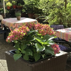 Hotel Cascade - Bild 8
