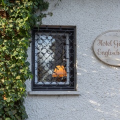 Gästehaus Englischer Garten - Bild 1