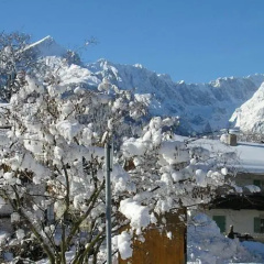 Alpin - Bild 5