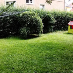 Homerez - Apartement Huttenstrasse - Bild 5