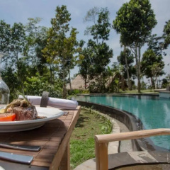 Puri Sebatu Resort Ubud - Bild 8