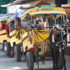 Gili Beach Wind - Bild 15