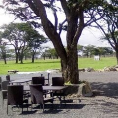 Olooltepes Picnic Site in Kiserian, Kenya from 620$, photos, reviews - zenhotels.com photo 6