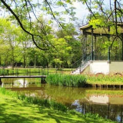 Bed & Breakfast Jo Amsterdam - Bild 5