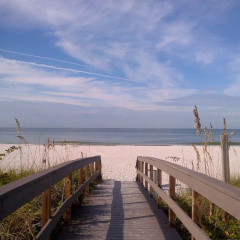 The Bungalows thumbnail 15