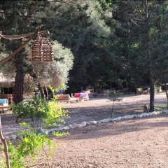 Camp Meeting Point - Bild 18