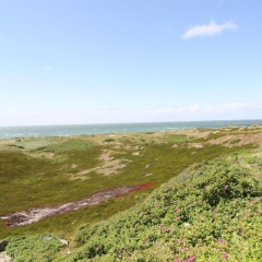 App.5 Seeblick - Bild 6