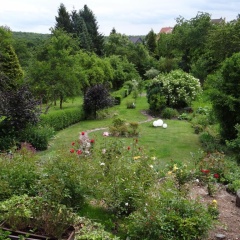 Ferienwohnung Großwald - Bild 11