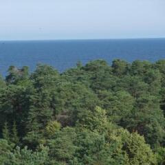 Cottage Sanatorium Belorusija in Jurmala, Latvia from 124$, photos, reviews - zenhotels.com beach photo 3