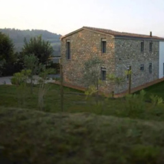 Tenuta Silente thumbnail 9
