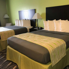 Best Western Mt.Vernon Inn thumbnail 5
