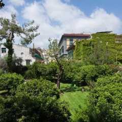 The Bellini House thumbnail 21