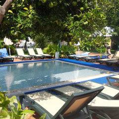 Viking Garden Hotel - Bild 15
