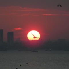 Khalkedon Hotel Istanbul - Bild 11