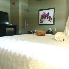 The Bolling Wilson Hotel thumbnail 22