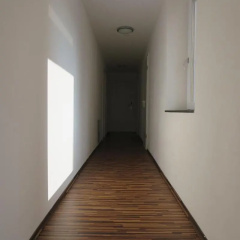Mitte 24 - Bild 12