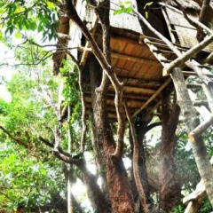 Ten103 Treehouse Bay thumbnail 1