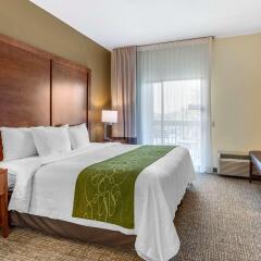 Comfort Suites Leesburg in Leesburg, United States of America from 153$, photos, reviews - zenhotels.com photo 17