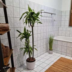 Weserufer, 92qm for 8, stylish, Parkplatz, Netflix - Bild 10