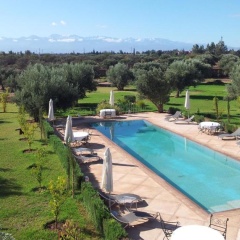Marrakech African Queen - Bild 11