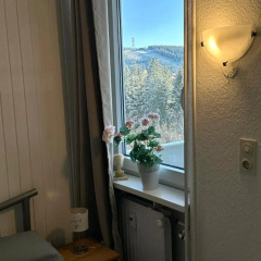 Bocksbergblick Appartement 507 im Ferienpark Hahnenklee Haus 1 - Bild 13