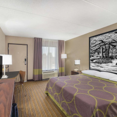 Super 8 by Wyndham Knoxville North/Powell thumbnail 6