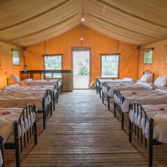Africa Safari Serengeti Ikoma in Serengeti National Park, Tanzania from 230$, photos, reviews - zenhotels.com photo 11