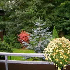Waldpension Brake - Bild 16