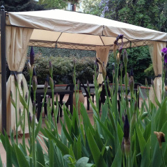 Sara Hotel - Bild 12