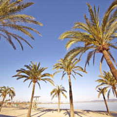 MLL Caribbean Bay Hotel - Bild 21