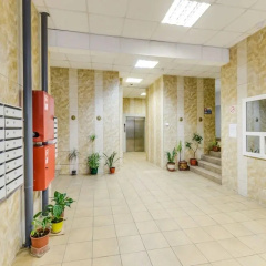 Piterskiy Aristokrat photo 2