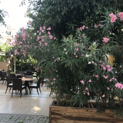 Narcis Apart Hotel - Bild 18