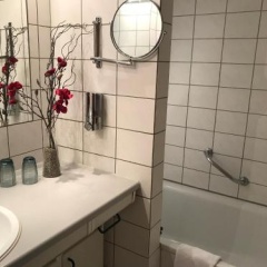 Steiner Strandappartements Appartement 308 Süd- Landseite - Bild 6