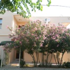 Cirali Olympos Hotel - Bild 1