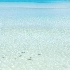 Playa Esperanza Suites - Bild 24