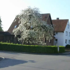 Fewo Am Trügelbach - Bild 4