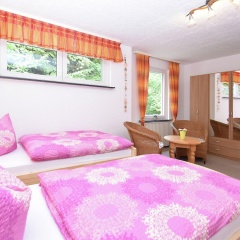 Gruppen- Ferienhaus in Wieda - Bild 4