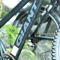 Sinharaja Forest Edge thumbnail 14