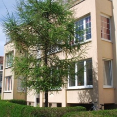 Dresdner Ferien Apartment - Bild 1