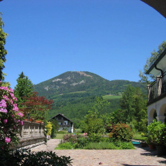 Doktorwirt - Bild 13