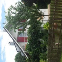 Rutzing - Bild 7