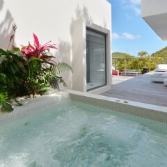 Villa Eternity in Gustavia, Saint Barthelemy from 1448$, photos, reviews - zenhotels.com photo 6