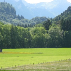 Alpenhotel Allgäu - Bild 13