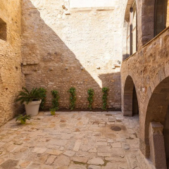 AS Palau dels Alemanys thumbnail 13