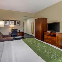 Comfort Suites Leesburg in Leesburg, United States of America from 153$, photos, reviews - zenhotels.com photo 42